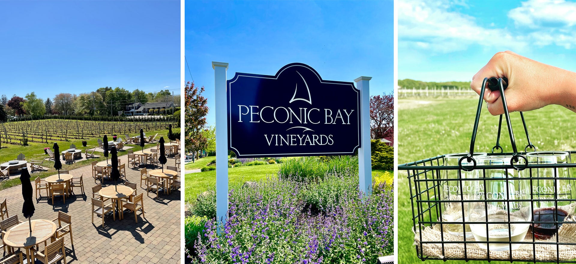 Peconic Bay Vineyards – 4 Stellar Wines and 4 Local Cheeses