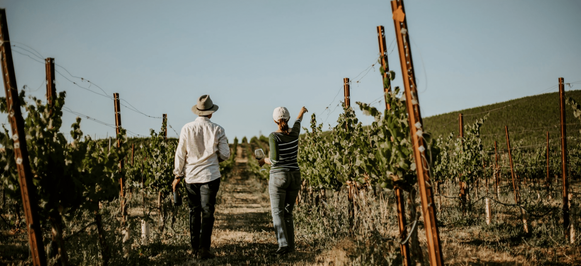 Peter Paul Wines – California’s Top Boutique Winery