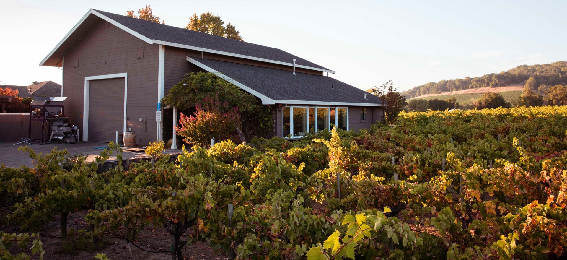 Limerick Lane Cellars LIVE: A Virtual Voyage Through Sonoma